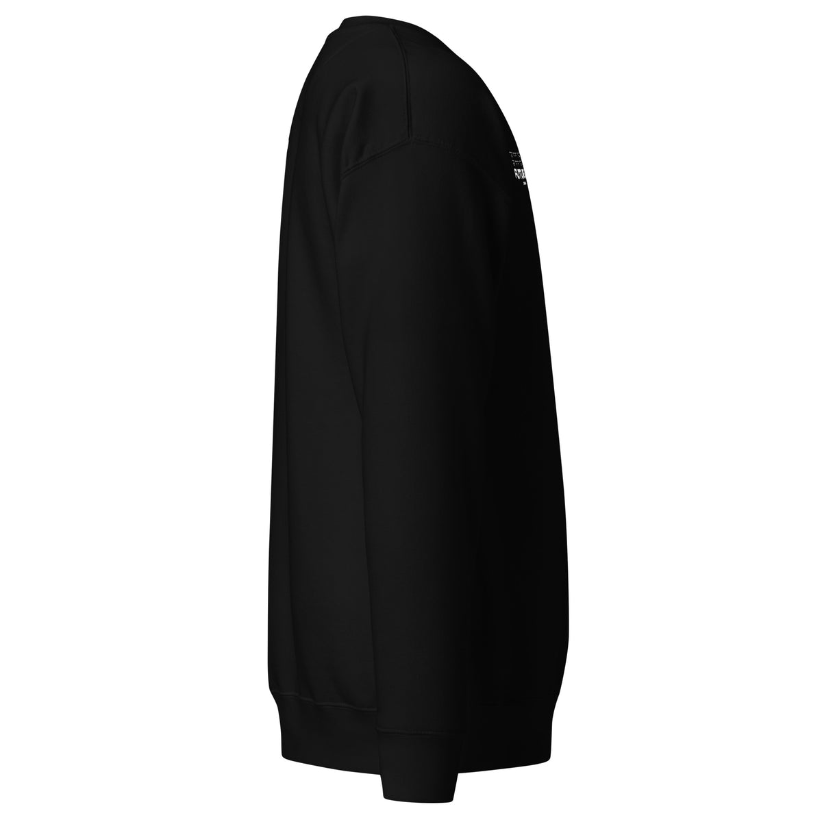 Future Astronaut Crewneck in black, right side view